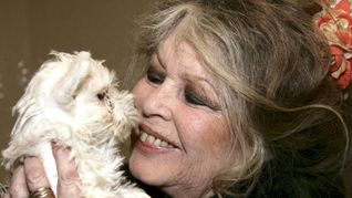 Brigitte Bardot 2005 – Tierschützerin und Enfant terrible